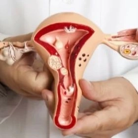 Эндокринная гинекология