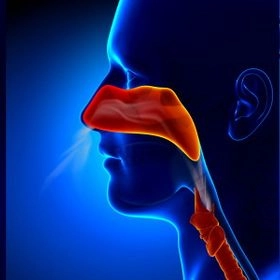 Отоларингология