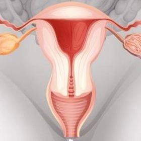 Smas омолодження піхви