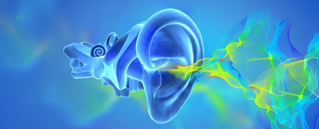 Тимпанопластика в Одесі