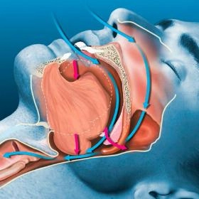 Лікування хропіння